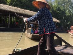 -溱湖国家湿地公园