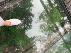 -野象谷景区