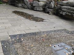 -南山植物园