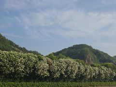 -幕燕滨江·长江观音景区