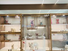 -翊宠yipet猫狗购宠庄园犬舍•猫舍