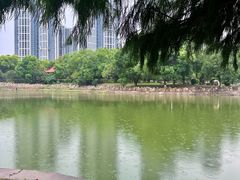 -汉水公园
