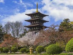 -北京世界公园