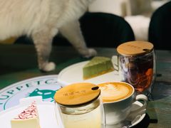 -喵喵咪呀布偶猫咖(春熙路店)
