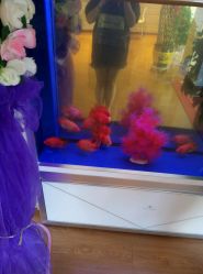 -苗方清颜专业祛痘养生