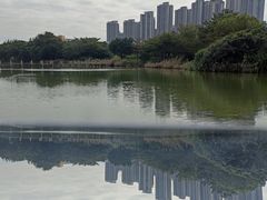 -中澳友谊花园