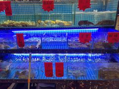 -阿湾楼·温州海鲜·江浙菜(京江路店)
