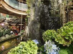 -正佳雨林生态植物园