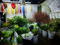 -循礼门鲜花花市(武汉循礼门店)