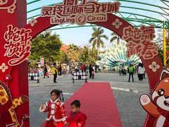 -灵玲国际马戏城