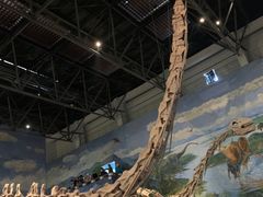 -自贡恐龙博物馆