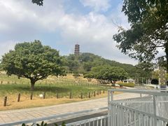 -红花山公园