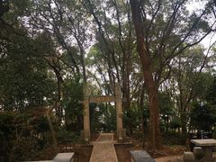 -上海佘山国家森林公园天马山园