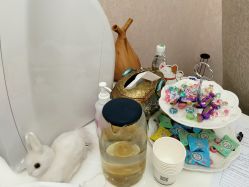 -北京丽星翼美医疗美容