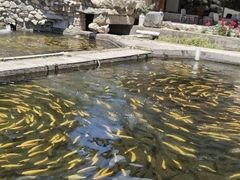-天源渔港农庄
