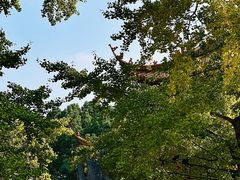 -圆通寺