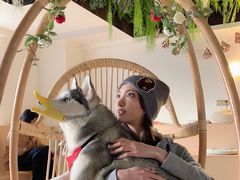 -Husky Go! 哈士奇体验馆·宠物咖啡厅狗咖