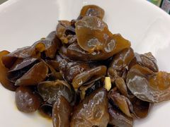 -骏莱海鲜鱼港(五角场店)