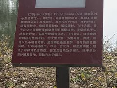 -金银湖国家城市湿地公园