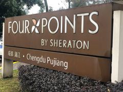 -成都蒲江花样年福朋喜来登度假酒店·宜客乐西餐厅