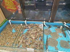 -渡海小渔村.老辈日照菜