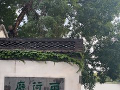 -济南大明湖景区