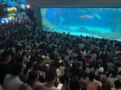 -海合安成都极地海洋公园