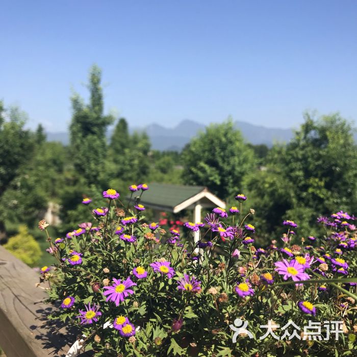 青城香岛葡萄庄园