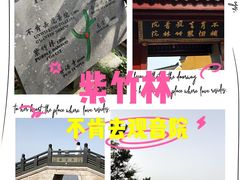 -紫竹林