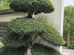 -北岭山森林公园