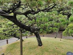 -水前寺成趣园