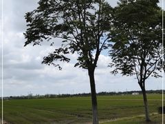-嘉北郊野公园