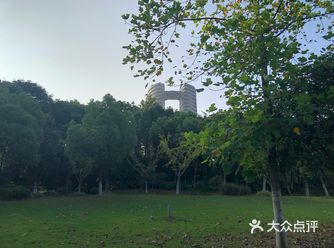 肺部在呼吸，肌肉在收缩。我确定，此时我真实地存在