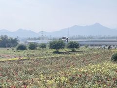 -君乐宝优致牧场