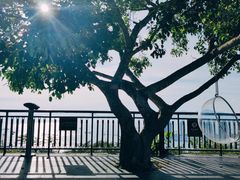 -鹿回头风景区