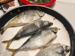 -渔傅印象滩涂霞浦海鲜(井大路店)