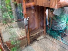 -上海大自然野生昆虫馆(东方明珠·爬宠昆虫探索中心)