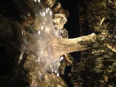 -永利澳门酒店