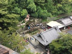 -有栖山 清光院 清水寺
