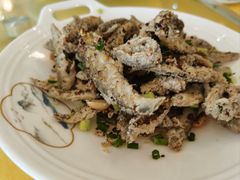 -胖大姐黄辣丁鱼庄(新津店)