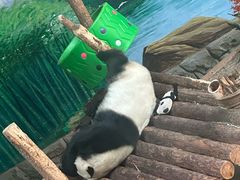 -青藏高原野生动物园