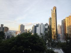 -香港大学