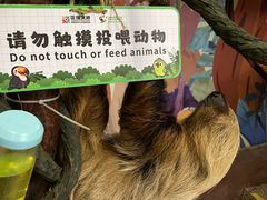 -正佳雨林生态植物园