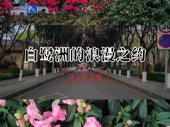 -白鹭洲公园
