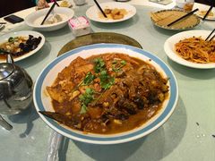 -邵年鸽(杨庄店)