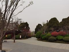 -华清宫景区
