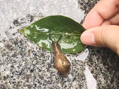 -保利国际影城(万家邻里店)