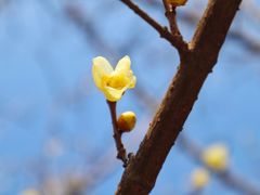 -白塘生态植物园