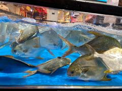 -盒马鲜生(曜一城店)