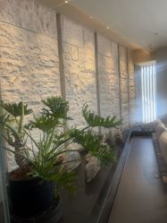 -VELEE·SPA高定疗愈会所